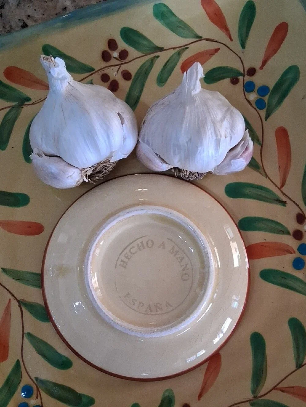 Hand-Painted Ceramic Garlic/ Fruit Grater. Made in Spain.